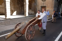 Le mura , i bastioni, le porte di Palmanova